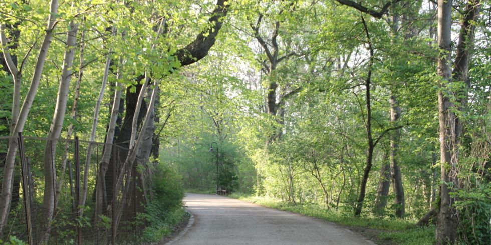 Plänterwald