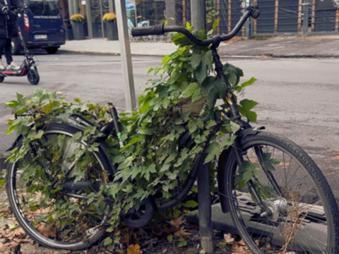 Fahrrad, dass mit Pflanzen zugewachsen ist