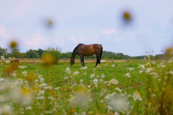 Eindrücke am Wegesrand