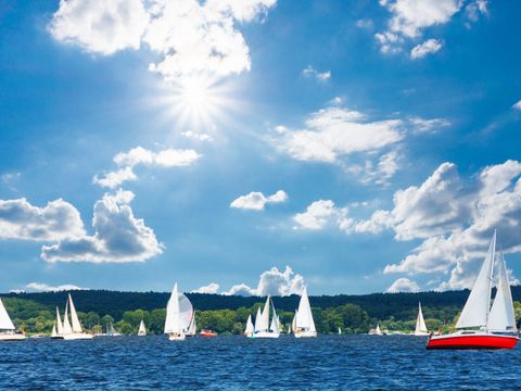 Segelboote auf dem Wannsee