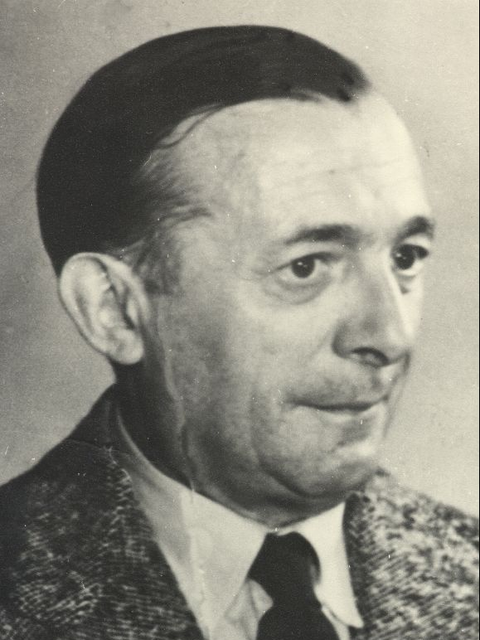Dr. Peter Alfons Steiniger