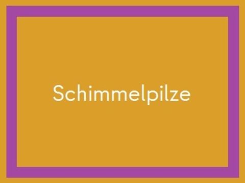 Schimmel2