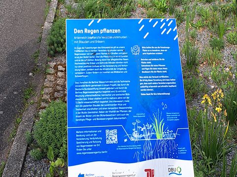 Versuchsbeet als Kombination von Regenwasserversickerung mit Biodiversitätsmaßnahmen