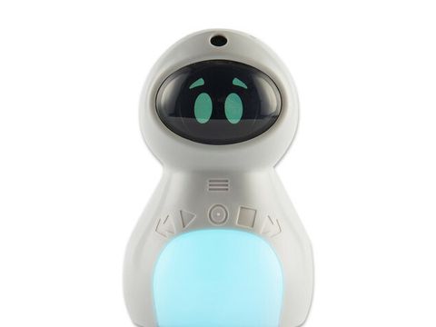 Kitt Begleitroboter