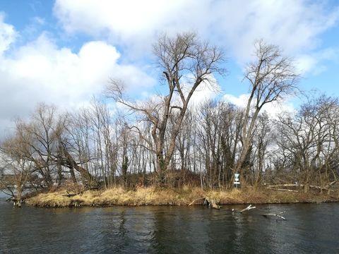 liebesinsel-und-kratzbruch_2