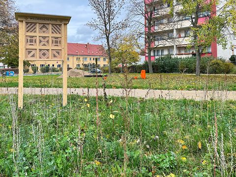 Wiese mit großem Insektenhotel
