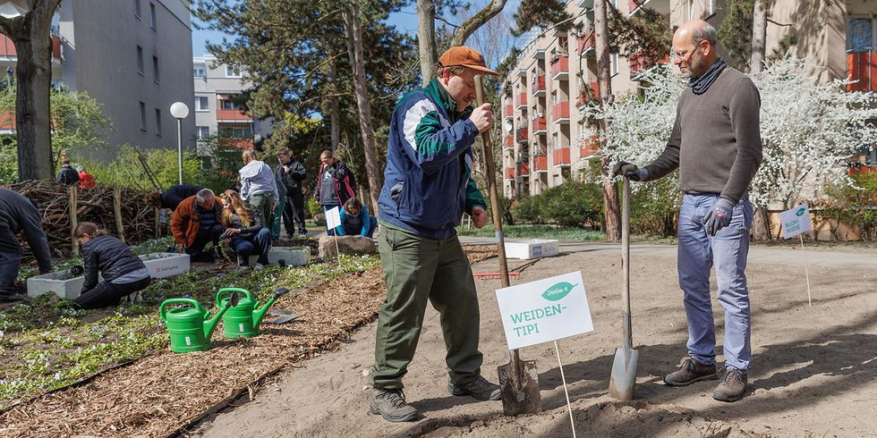Pflanzaktion Schwambzeile - Pilotfläche Paul-Hertz-Siedlung Headerbild Newsletter April 2025
