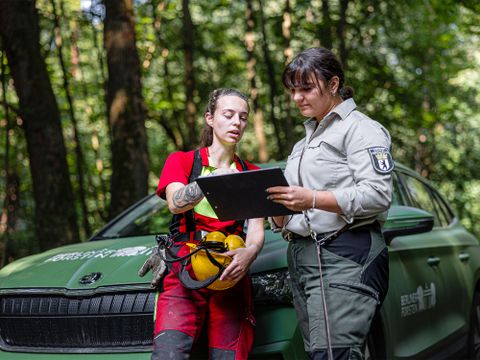 Datenerhebung für den Waldzustandbericht durch die Berliner Forsten