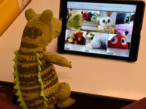 Die Plüschtiere der kleinen Besucherinnen und Besuchern hatten eine aufregende Nacht in der Bibliothek. (Bild: BA Rdf)