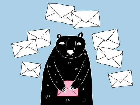 Titelzeichnung Newsletter. Gezeichneter Bär ist umgeben von vielen Briefumschlägen und hält einen rosafarbenen Brief in seinen Tatzen