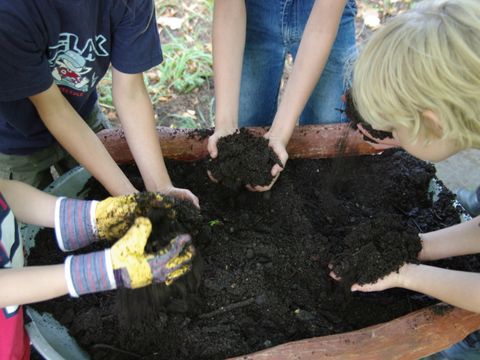 Kinderhände wühlen in Substrat