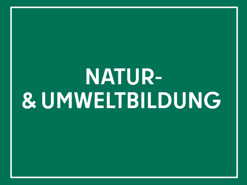 Natur- und Umweltbildung