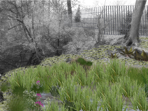 Plötzensee - Böschung - Massnahme