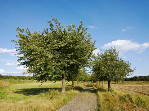 Landschaftsschutzgebiet „Rieselfelder Karolinenhöhe“