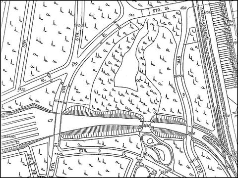 Geplanter Waldpark mit Sausuhlensee 1921 (Landesarchiv)
