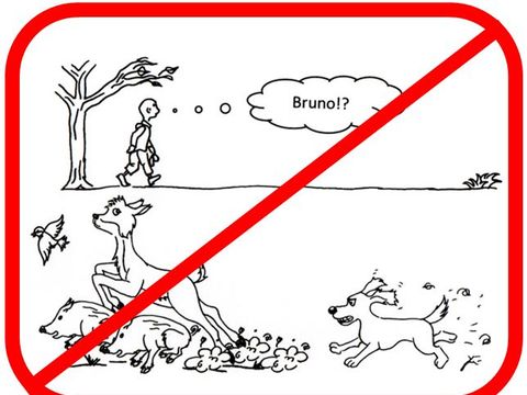 (Bild: Caroline Maik)