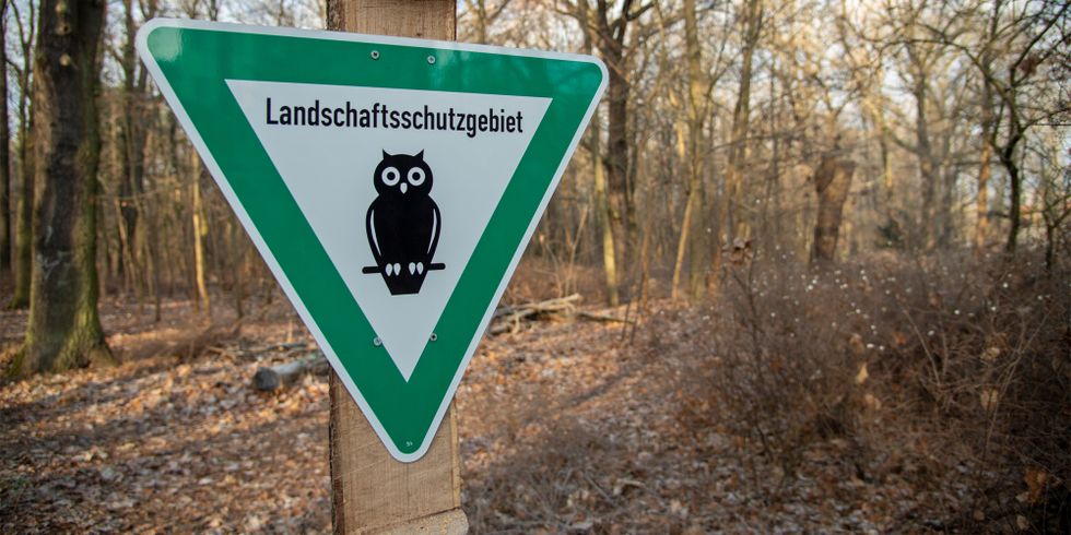 LSG Grünauer Forst