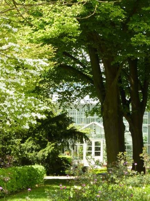 Blick auf den Eingang der rekonstruierten Gewächshäuser