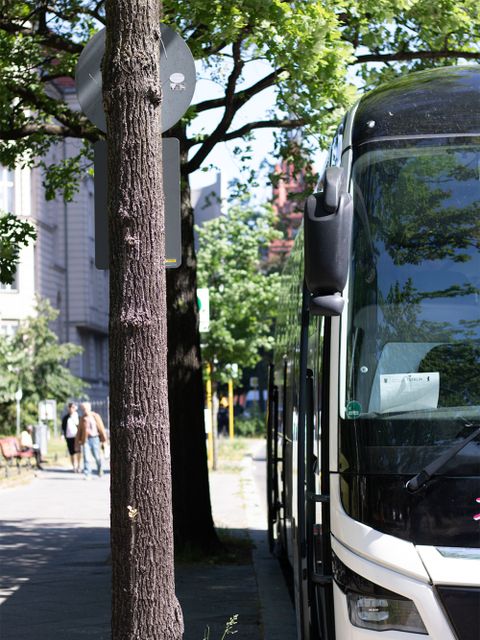 (Bild: Bezirksamt Steglitz-Zehlendorf)
