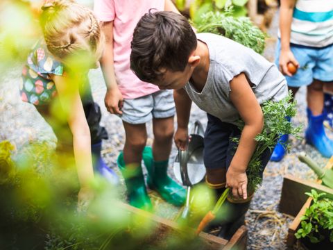 Kinder im Schulgarten