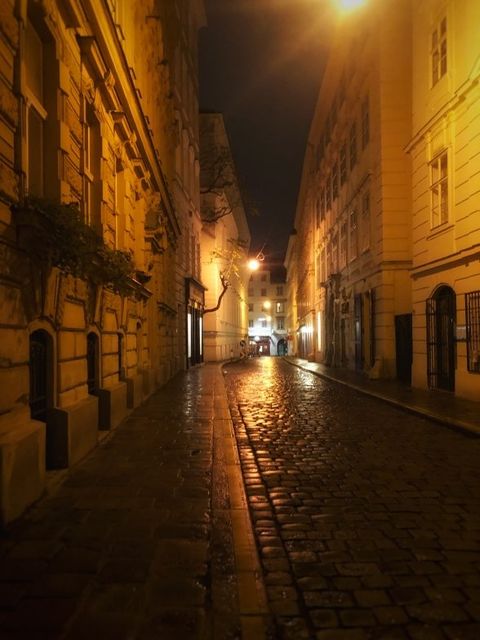 Wien ohne dritten Mann (Bild: Tim Marzahn)