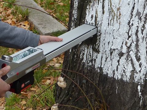 Bohrwiderstandsmessung