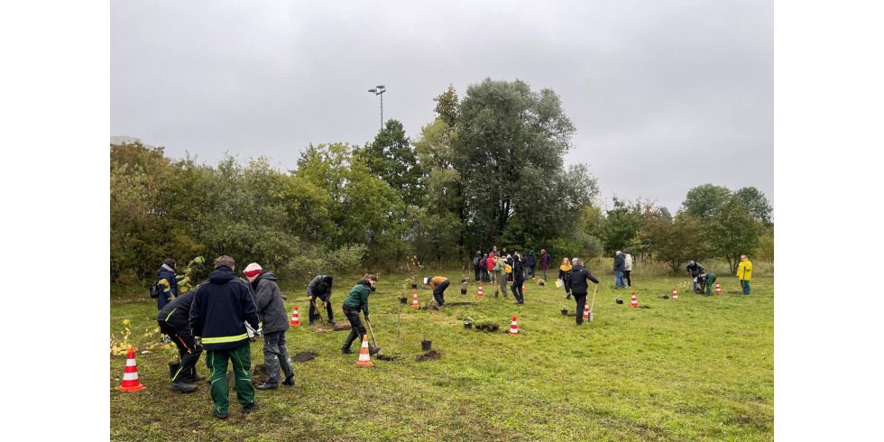 2023-10-23-pm-pflanzaktion-des-aub-ba-lichtenberg.jpg