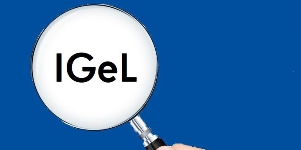 Eine Hand hält eine Lupe, in der der Text "IGel" steht