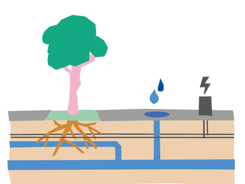 Illustration eines Schnitts mit Baum und Wurzeln. Unter der Erde sind Wasserleitungen und Stromleitungen zu sehen