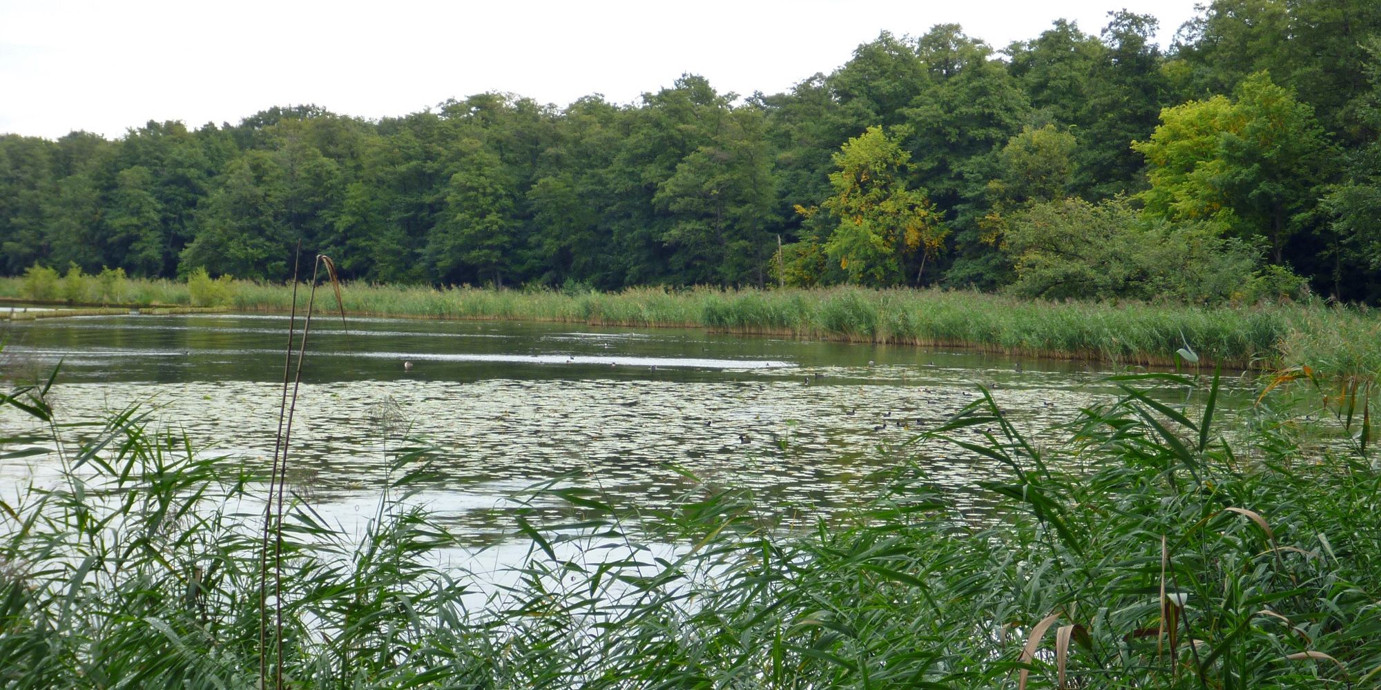 Müggelspree