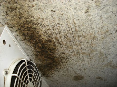 Ventilator eines Kühltisches, in dem Lebensmittel gelagert werden
