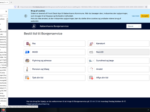 Ausschnitt Webauftritt Borgerservice