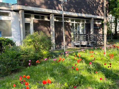 Eingang der Bibliothek mit Tulpenwiese