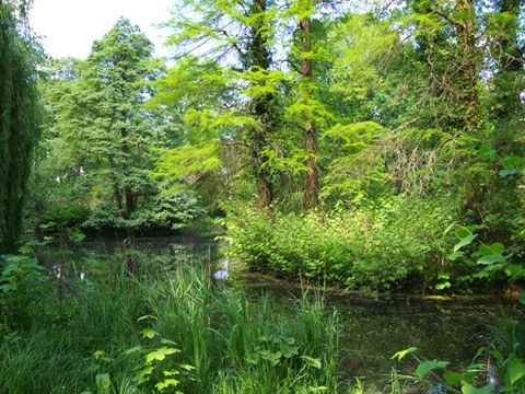 Grundwasserteich