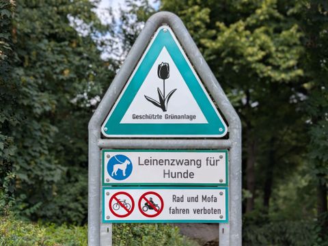 Tulpenschild