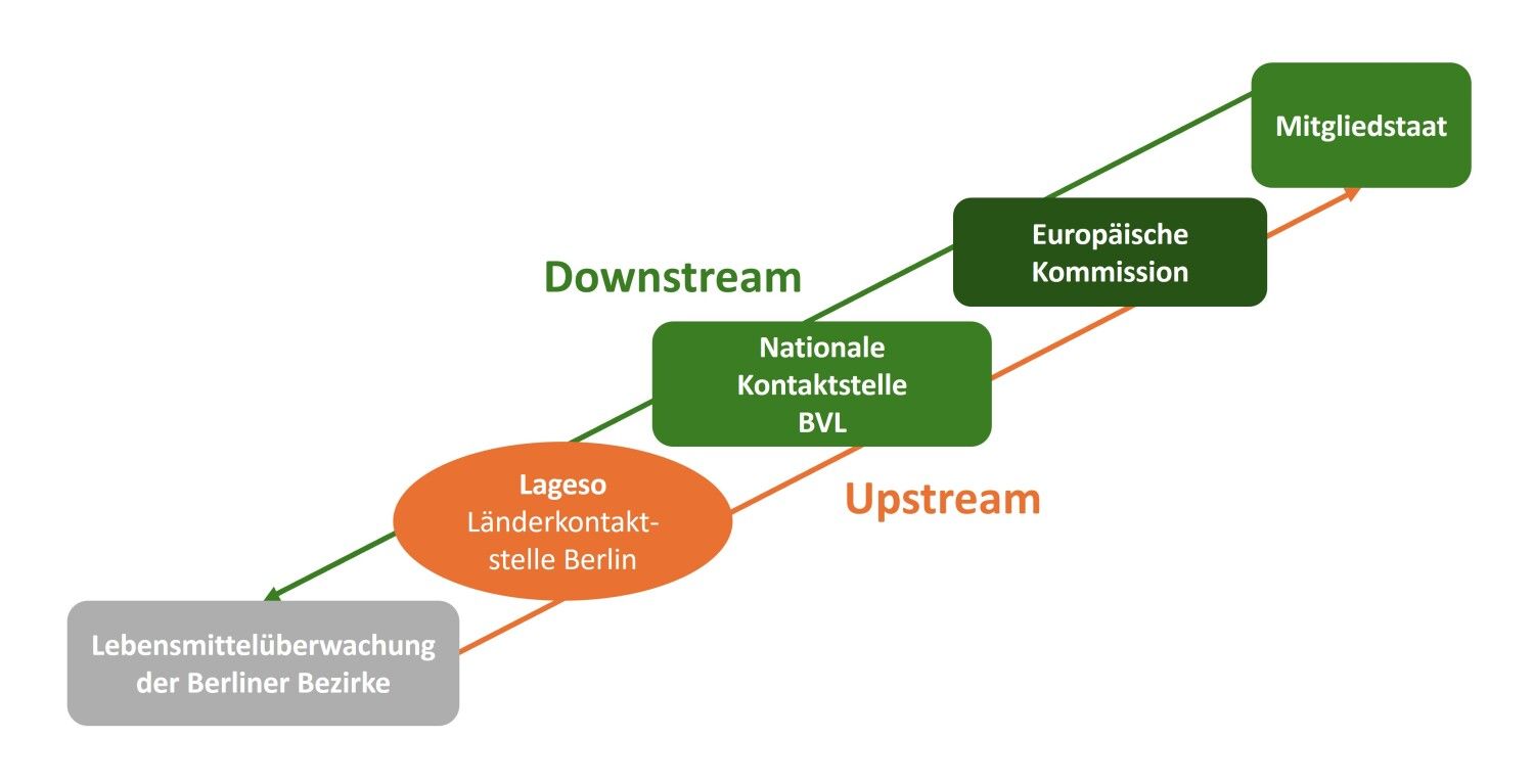 RASFF Upstream und Downstream