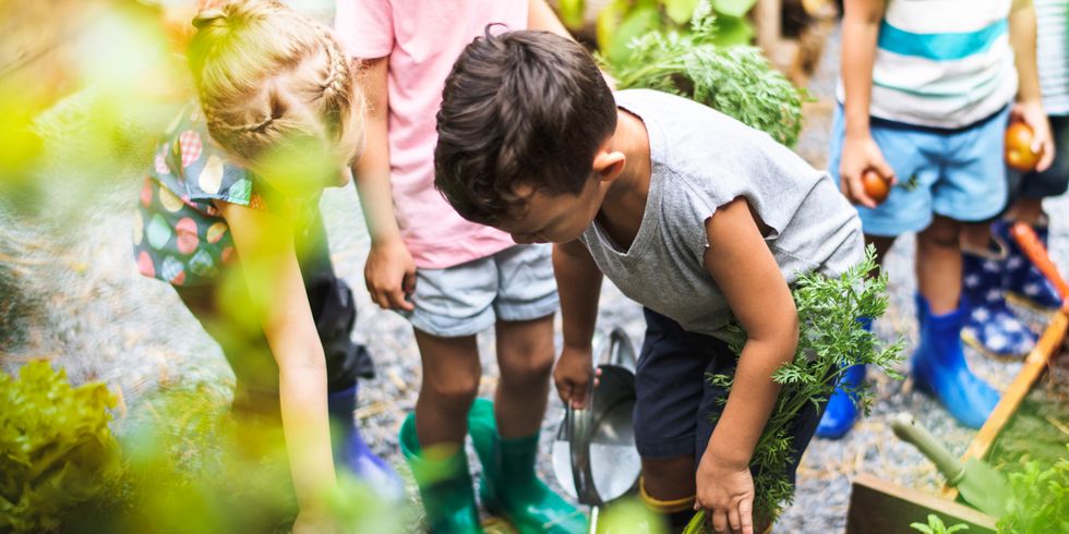 Kinder im Schulgarten