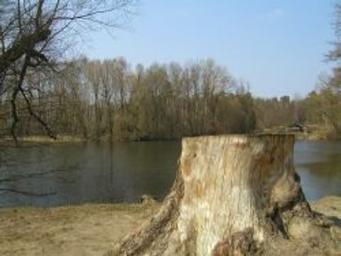 Am Teufelssee, 12.4.2003, Foto: Alexandra Voigt