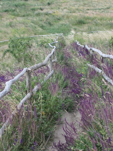 Eine Naturansicht des Freizeitparks Marienfelde