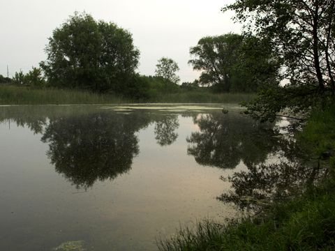 Malchower Aue (Bild: Bruno D'Amicis)