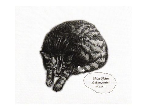 Autogenes Training für Katzenfreunde