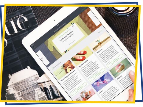 Immer mehr Bücher finden sich im Portfolio.