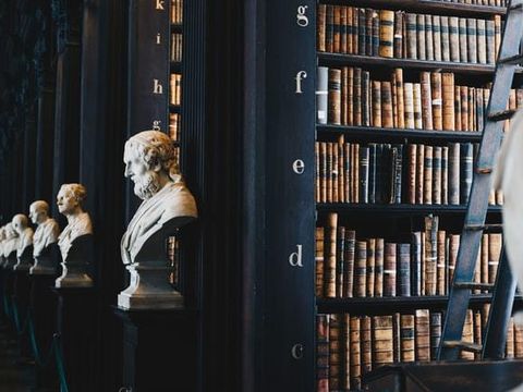 Mehrere weiße Skulpturen vor einem hohen Regal voller alter Bücher