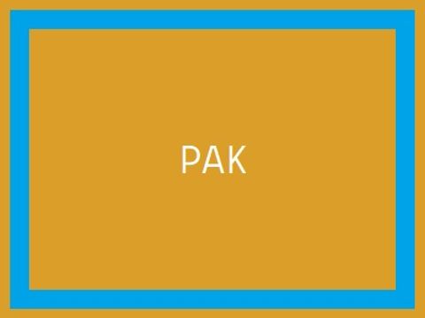 PAK2