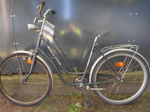fahrrad-anhnger thule Fahrradanhnger Sport 2 single black  STEYBE FR KINDER