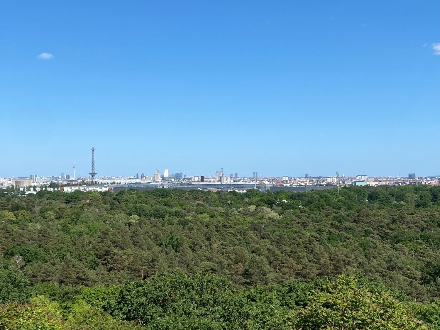 Aussicht vom Drachenberg