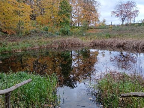 Ruhwaldparkteich, 2025