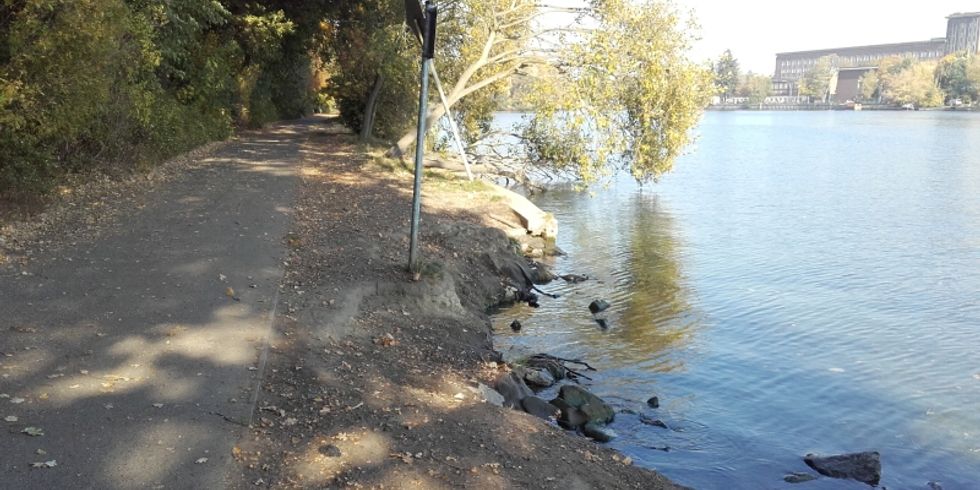 Spreeufer in Plänterwald