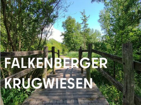 Steg aus Holz, dahinter Wiese und Bäume, blauer Himmel