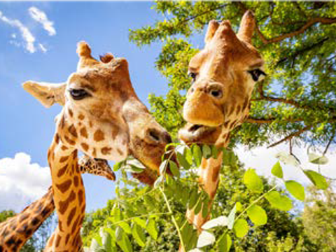 Tierpark Berlin